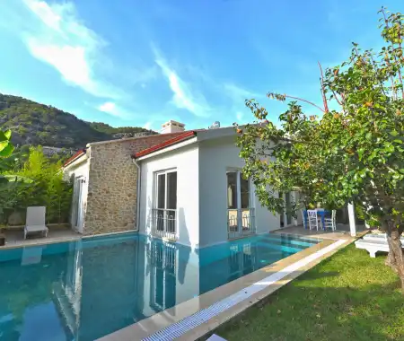 Villa Exclusive Pansy Fiyatları 2024