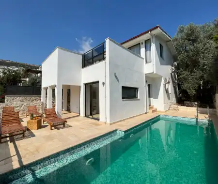 Villa Vector House